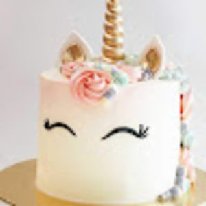 Meet your Posher, Maya